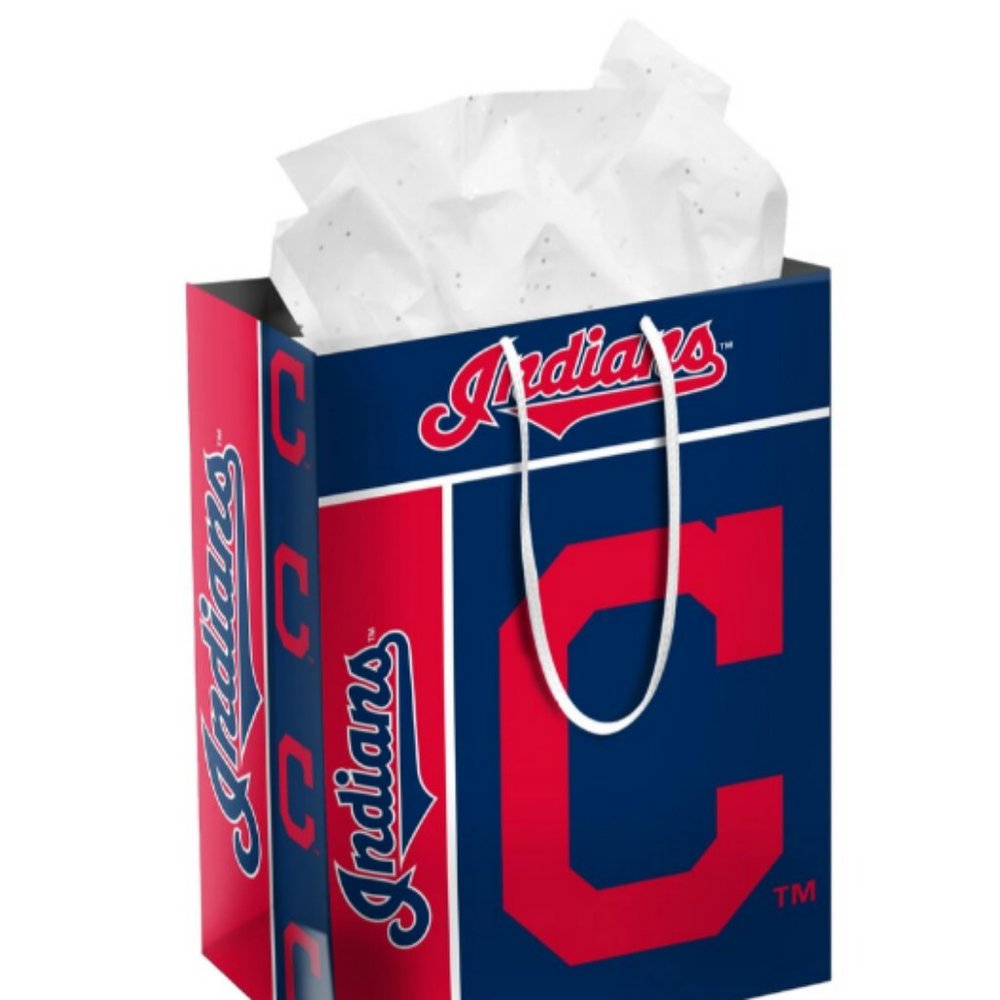 Lot of 10 New Cleveland Indians Team Gift Bag